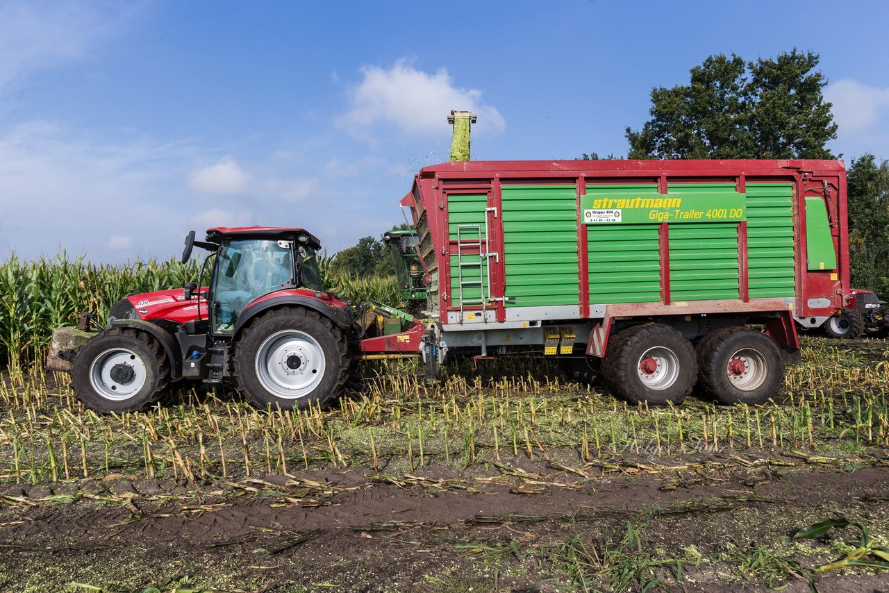 Bild 226 - Maisernte